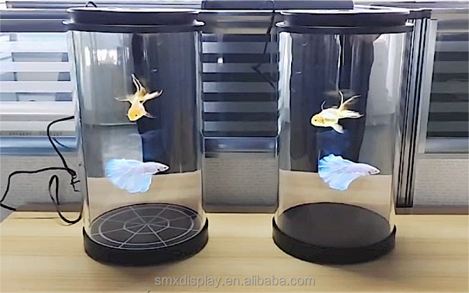 AI-gebaseerde interactieve 3D-hologrambox, 75 inch digitale menselijke ronde tentoonstellingsstand Holotube holografische displaybox 5