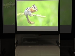 200 de“ Snelle van de Schermen Snelle Vouwen van de Vouwenprojector Mobiele Schermen voor Onderwijs, Partij, Overleg