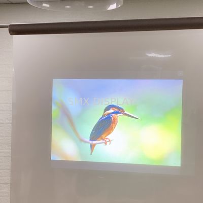 Kwaliteit Grijze Lasertv en Achterprojectiefilm/folie voor vertoning, reclame, tentoonstelling Fabriek