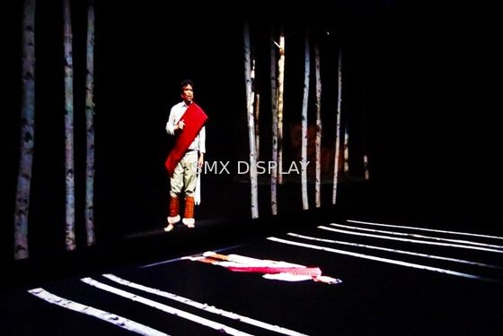 Kwaliteit Holografisch de Projectiesysteem van het peperspook/Holografische 3D Digitale Projectie Fabriek