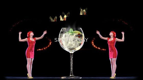 Kwaliteit De digitale Holografische het Scherm 3D Holografische Projectie voor 3D Hologram toont Fabriek