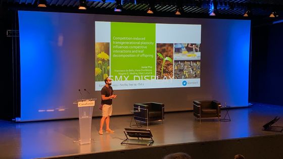 kwaliteit 350inch het grote Gemotoriseerde Projectiescherm met rf-Afstandsbediening Fabriek